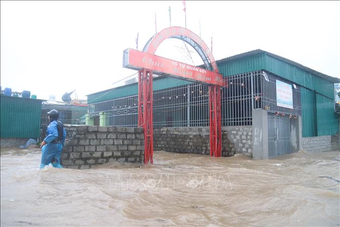 Quyết liệt công tác ứng phó bão số 5 