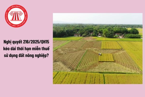 Kéo dài thời hạn miễn thuế sử dụng đất nông nghiệp đến hết ngày 31/12/2030