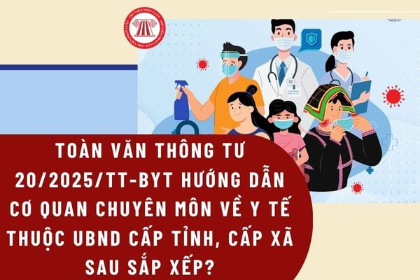 Hướng dẫn cơ quan chuyên môn về y tế thuộc UBND cấp tỉnh, xã