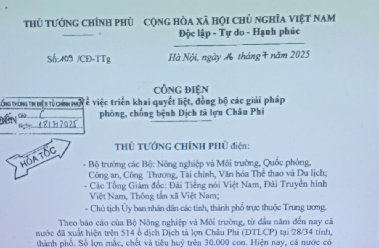 Triển khai quyết liệt, đồng bộ các giải pháp phòng, chống bệnh Dịch tả lợn Châu Phi