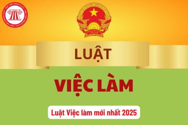 Chính sách cho vay giải quyết việc làm theo quy định của Luật Việc làm  năm 2025