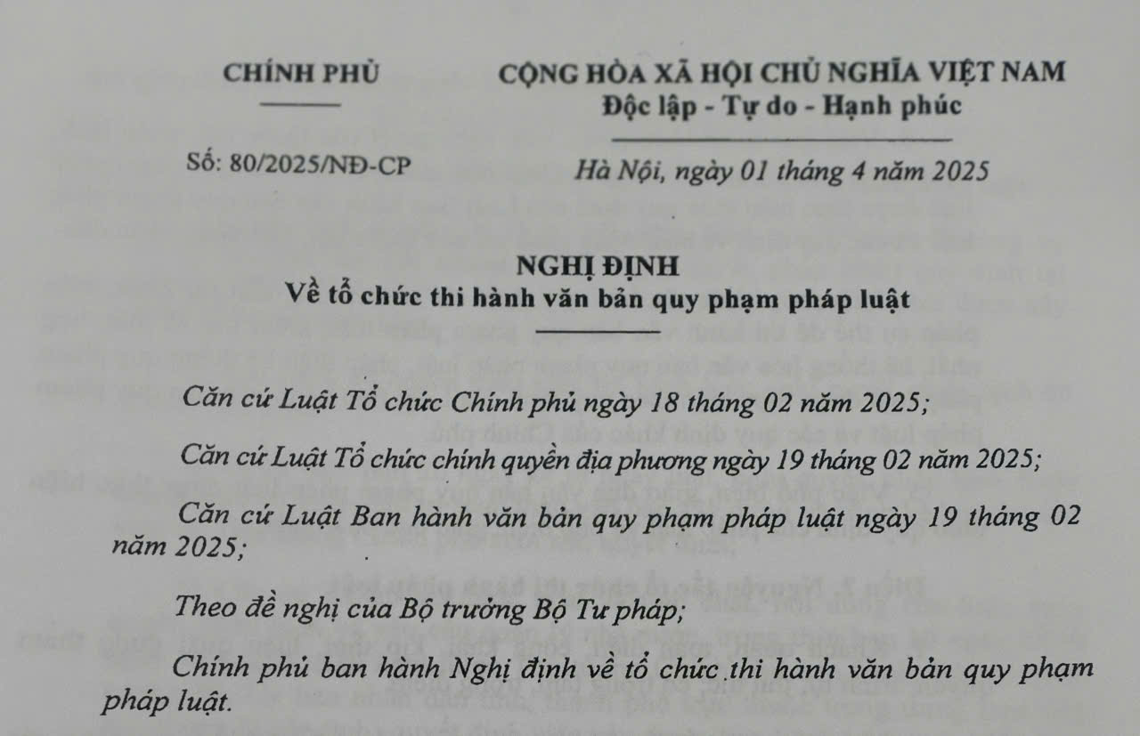 Nghị định tổ chức thi hành văn bản quy phạm pháp luật 