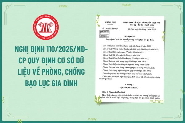 Nghị định quy định Cơ sở dữ liệu về phòng, chống bạo lực gia đình 