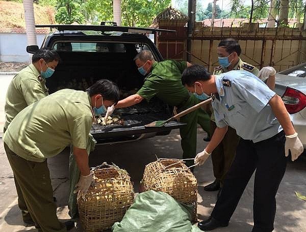 Xử lý nghiêm các trường hợp buôn bán, vận chuyển trái phép gia cầm, sản phẩm gia cầm qua biên giới vào Việt Nam