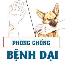 Tăng cường các biện pháp phòng, chóng bệnh dại