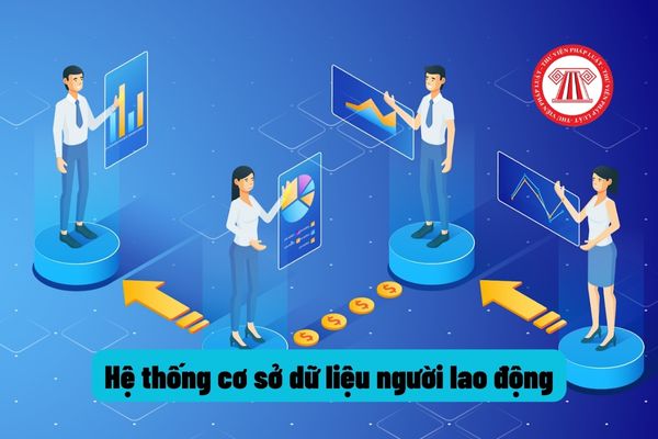 Xây dựng cơ sở dữ liệu người lao động,  việc tìm người - người tìm việc thành phố Cần Thơ năm 2023