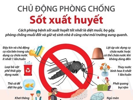Tổ chức các hoạt động hưởng ứng Ngày ASEAN phòng, chống sốt xuất huyết                        