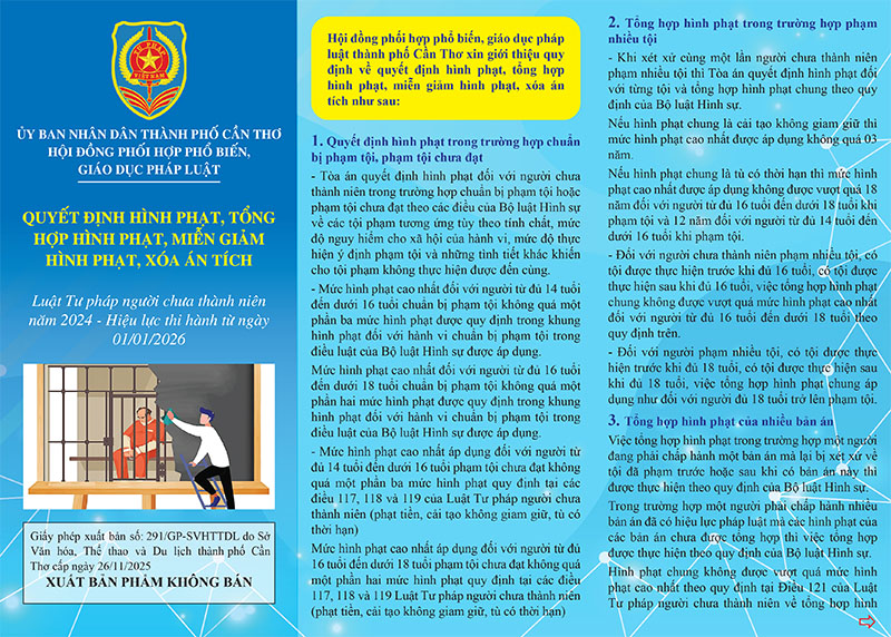 QUYẾT ĐỊNH HÌNH PHẠT, TỔNG HỢP HÌNH PHẠT, MIỄN GIẢM HÌNH PHẠT, XÓA ÁN TÍCH