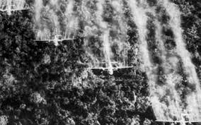 Khắc phục hậu quả bom mìn, chất độc hóa học/dioxin  sau chiến tranh ở Việt Nam